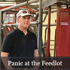 Panic at the Feedlot
